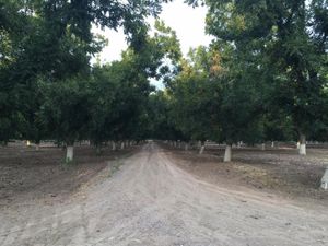 Terreno en Venta en La Barranca Torreón