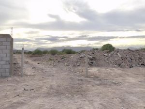 Terreno en Venta en Miravalle Gómez Palacio