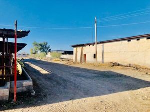 Terreno en Venta en Pastor Rouaix Gómez Palacio