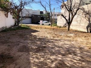 Terreno en Venta en Residencial las Isabeles Torreón