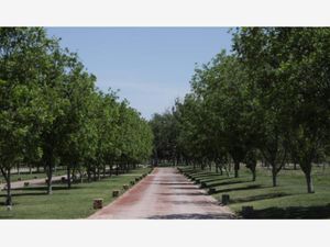 Terreno en Venta en Parras de la Fuente Centro Parras