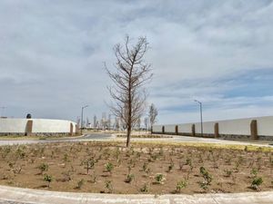 Terreno en Venta en La Barranca Torreón