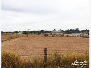 Terreno en Venta en Ejido Ana Torreón