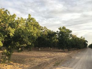 Terreno en Venta en La Barranca Torreón