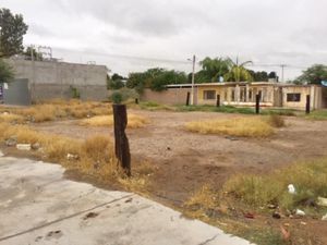Terreno en Renta en Sol de Oriente Torreón