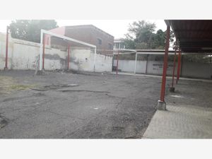 Terreno en Venta en Centro Culiacán