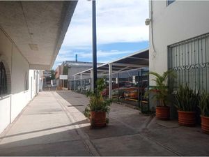 Local en Renta en Centro Sinaloa Culiacán