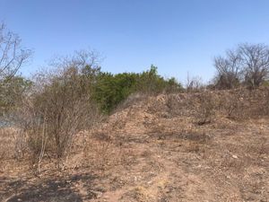 Terreno en Venta en Los Mezcales Culiacán