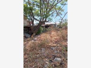 Terreno en Venta en Altavista Cuernavaca