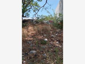 Terreno en Venta en Altavista Cuernavaca