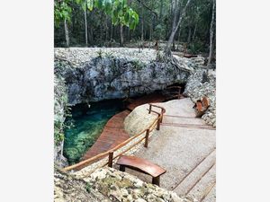 Terreno en Venta en Aldea Tulum Tulum