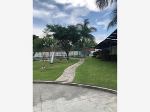 Terreno en Venta en Centro Jiutepec Jiutepec