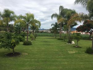 Finca/Rancho en Venta en Atlixco Centro Atlixco