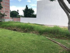 Terreno en Venta en Centro Jiutepec Jiutepec