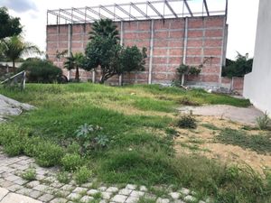 Terreno en Venta en Centro Jiutepec Jiutepec