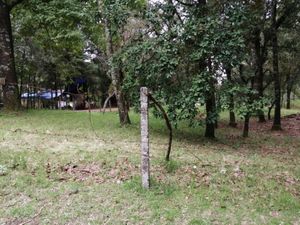 Terreno en Venta en Sierra Encantada Huitzilac