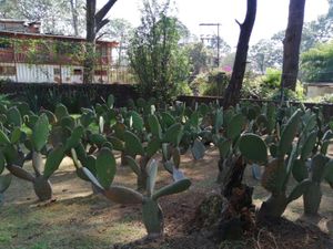 Terreno en Venta en Monte Bello Huitzilac