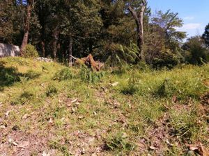 Terreno en Venta en Guayacahuala Huitzilac