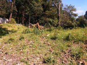 Terreno en Venta en Guayacahuala Huitzilac