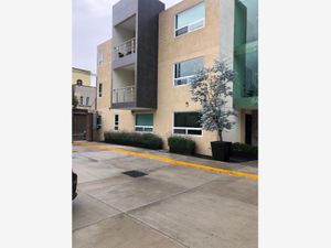 Departamento en Renta en Lázaro Cárdenas Metepec