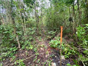 Terreno en Venta en Yaxché Tulum