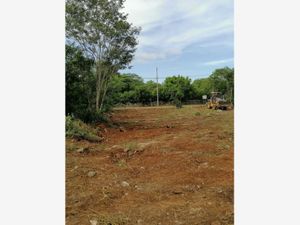 Terreno en Venta en Baca Baca