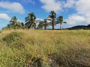 Terreno en Venta en Champoton Centro Champotón