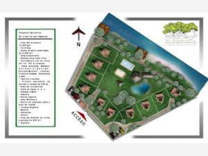 Terreno en Venta en Las Higueras Vega de Alatorre