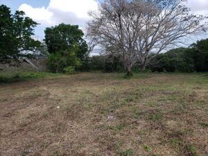 Terreno en Venta en Jamapa Jamapa