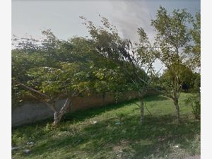 Terreno en Venta en Jamapa Jamapa