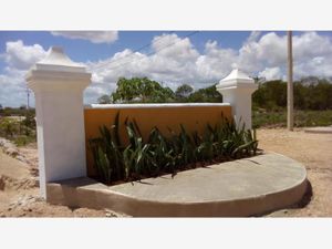 Terreno en Venta en Izamal Izamal