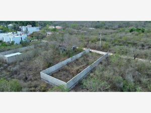 Terreno en Venta en Merida Centro Mérida