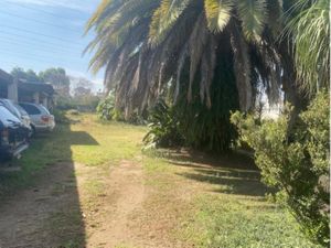 Terreno en Renta en Jardines de Nuevo Mexico Zapopan