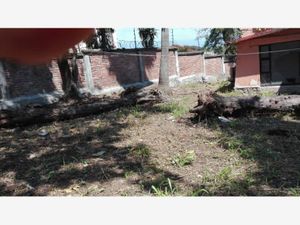 Terreno en Renta en Cuernavaca Centro Cuernavaca