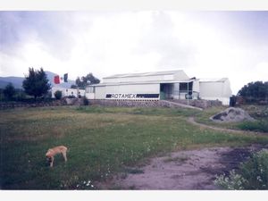 Bodega en Venta en Santa Maria Ajoloapan Hueypoxtla