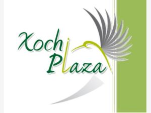 Local en Renta en Xochitepec Centro Xochitepec