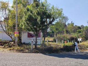 Terreno en Venta en El Manzanillal (Colonia Enrique Ramírez) Pátzcuaro