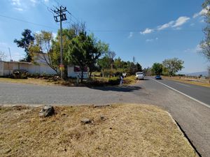 Terreno en Venta en El Manzanillal (Colonia Enrique Ramírez) Pátzcuaro