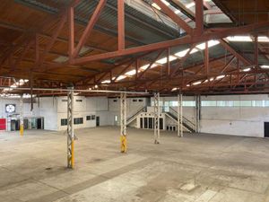 Bodega en Renta en Industrial Nogalar San Nicolás de los Garza