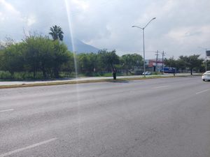 Terreno en Renta en Los Lermas Guadalupe