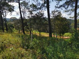 Terreno en Venta en Avandaro Valle de Bravo