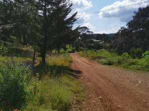 Terreno en Venta en Avandaro Valle de Bravo