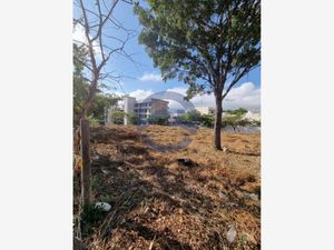 Terreno en Venta en Ladera de La Loma Tuxtla Gutiérrez