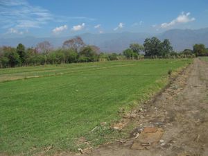 Terreno en Venta en Oacalco Yautepec