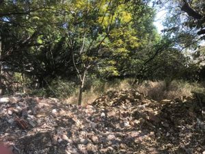 Terreno en Venta en Vista Hermosa Cuernavaca