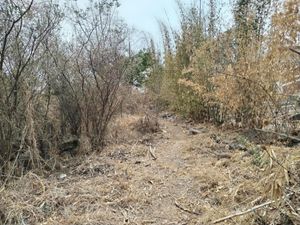 Terreno en Venta en Alpuyeca Xochitepec