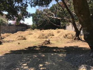 Terreno en Venta en Lomas de Vista Hermosa Cuernavaca