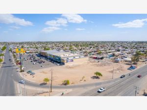 Terreno en Renta en Real del Río Mexicali