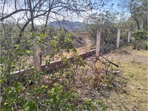 Terreno en Venta en Chignahuapan Chignahuapan