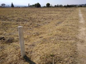 Terreno en Venta en San Francisco Acuautla Ixtapaluca